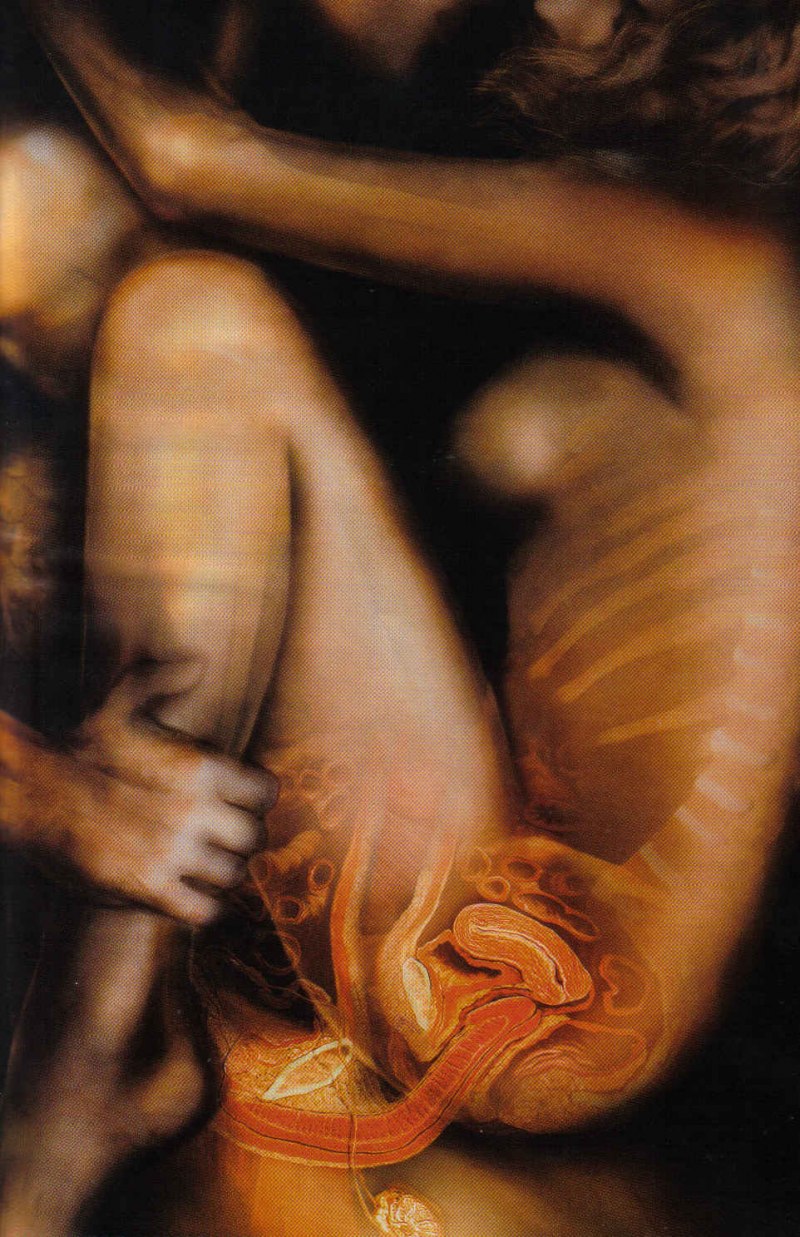 Мужчина внутри женщины