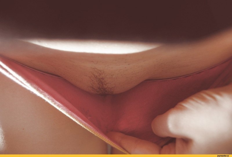 Красивый лобок в трусиках