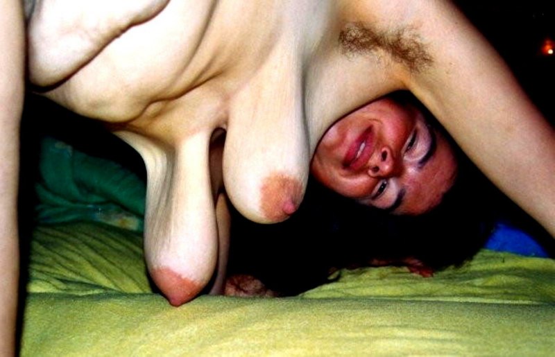 Голая грудь уши спаниеля