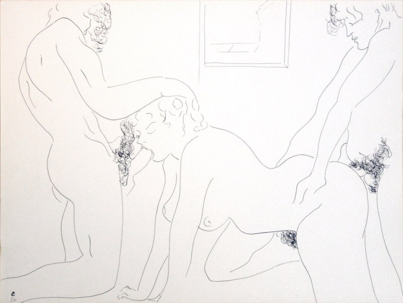 Художественное изображение вагины