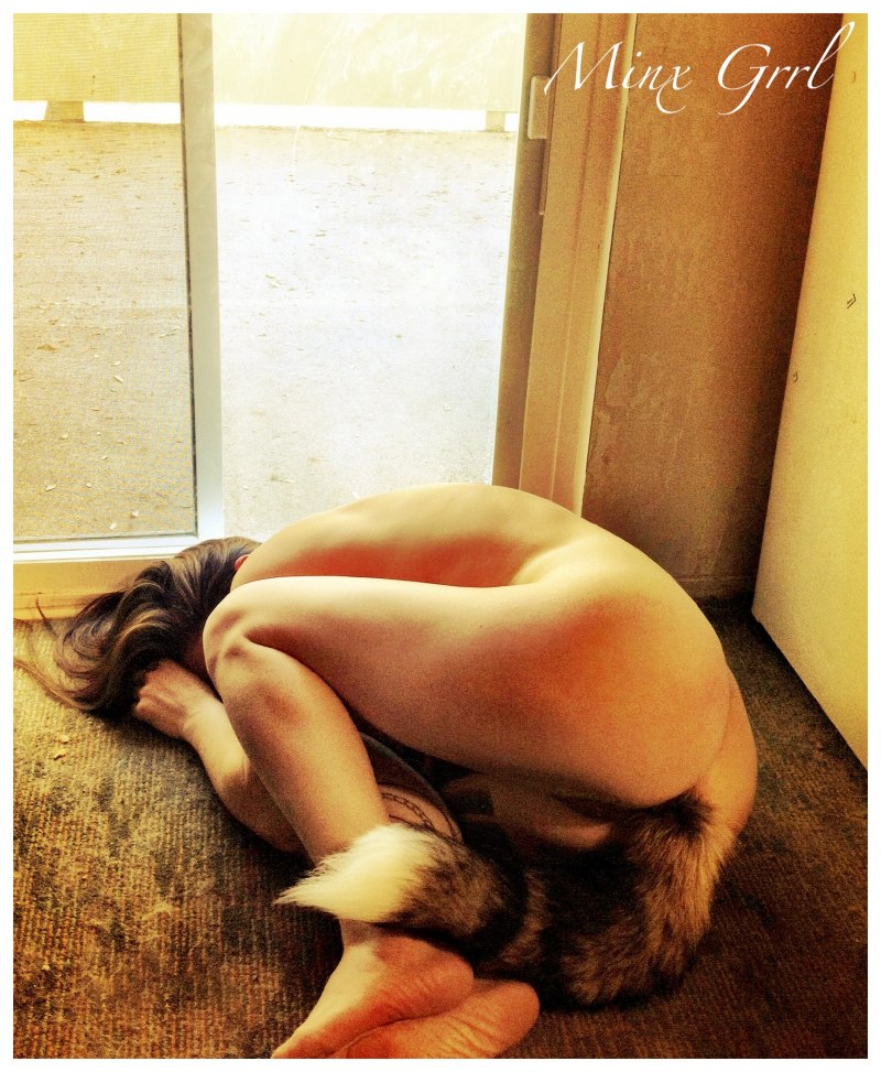 Анальная пробка с хвостиком