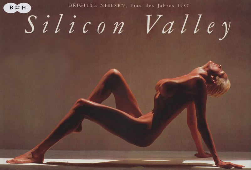 Бриджет Нильсон топлесс