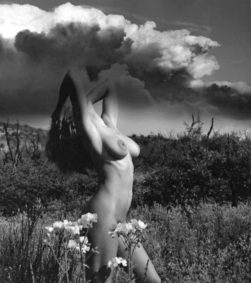 Порно-актриса Анита Экберг