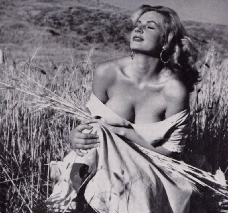 Порно-актриса Анита Экберг