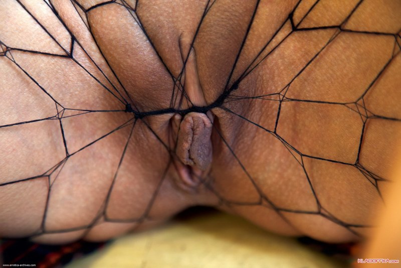 Колготки в сеточку вагина