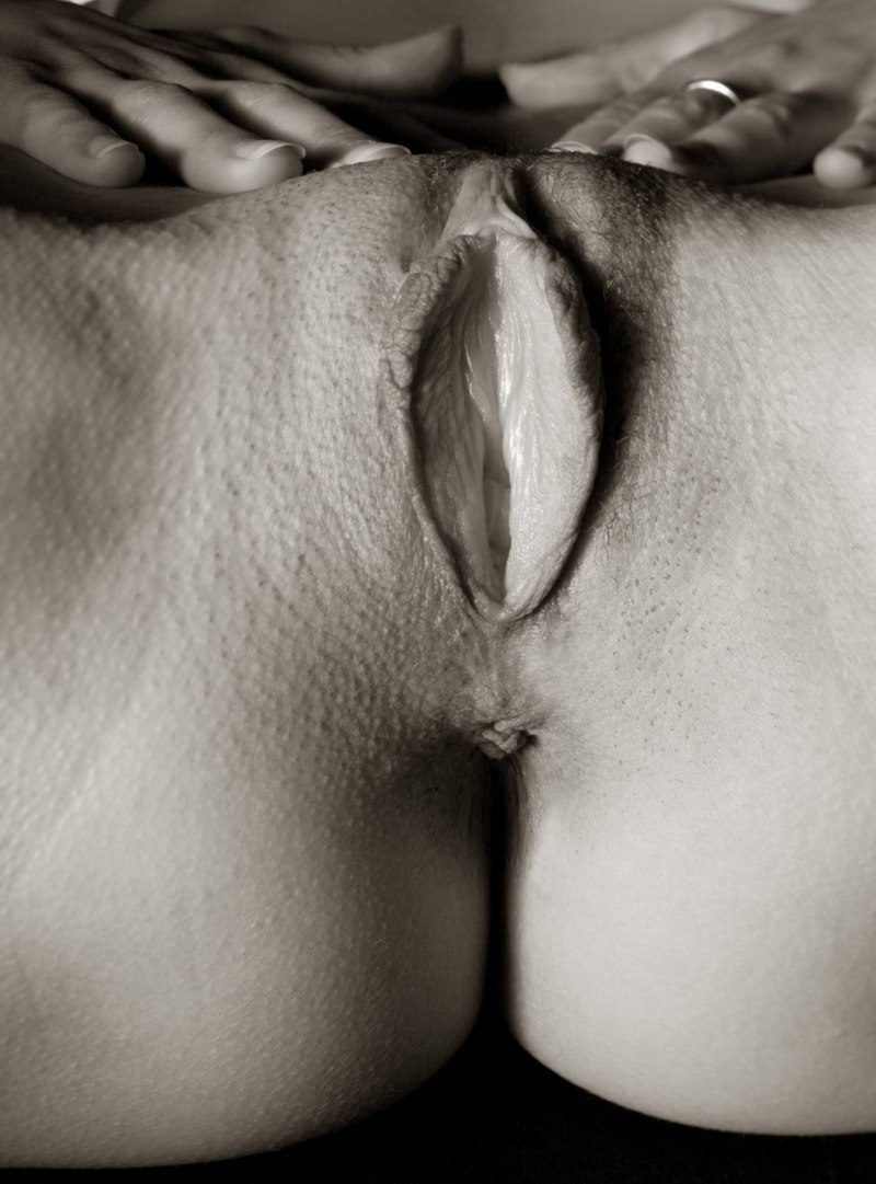 Красивые женские писечки