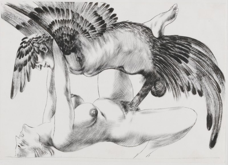 Леда оттраханная лебедем