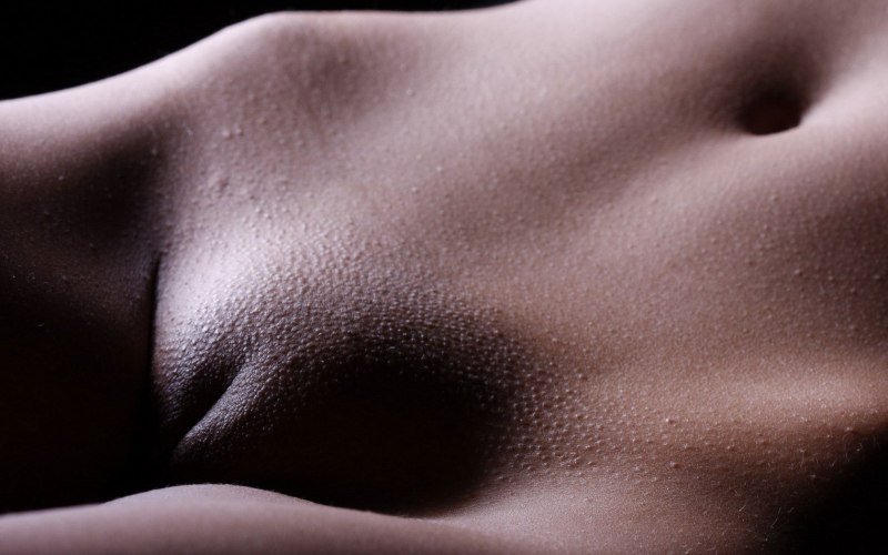 Красивые гладкие лобки девушек