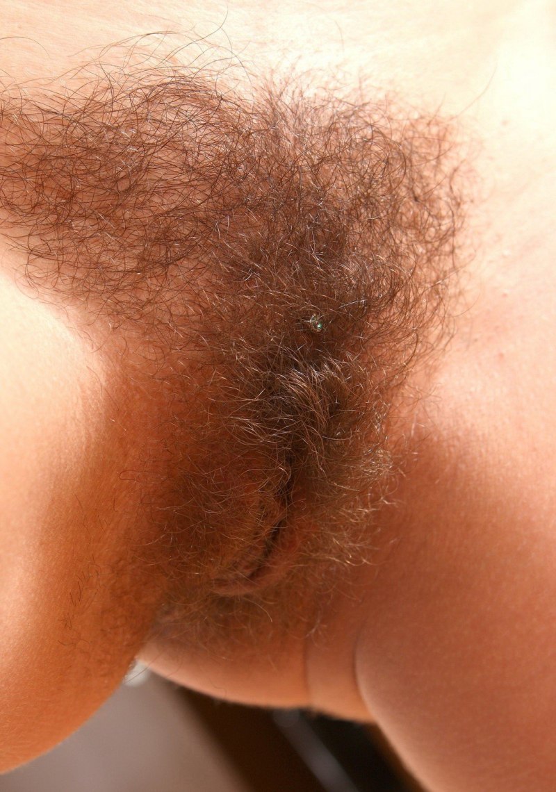 Красивый волосатый лобок