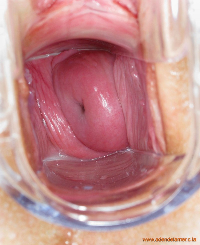 Строение вагины изнутри