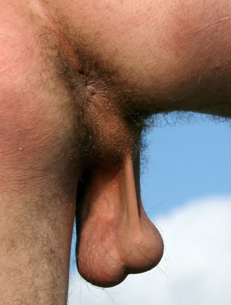 Волосатые обвисшие яйца