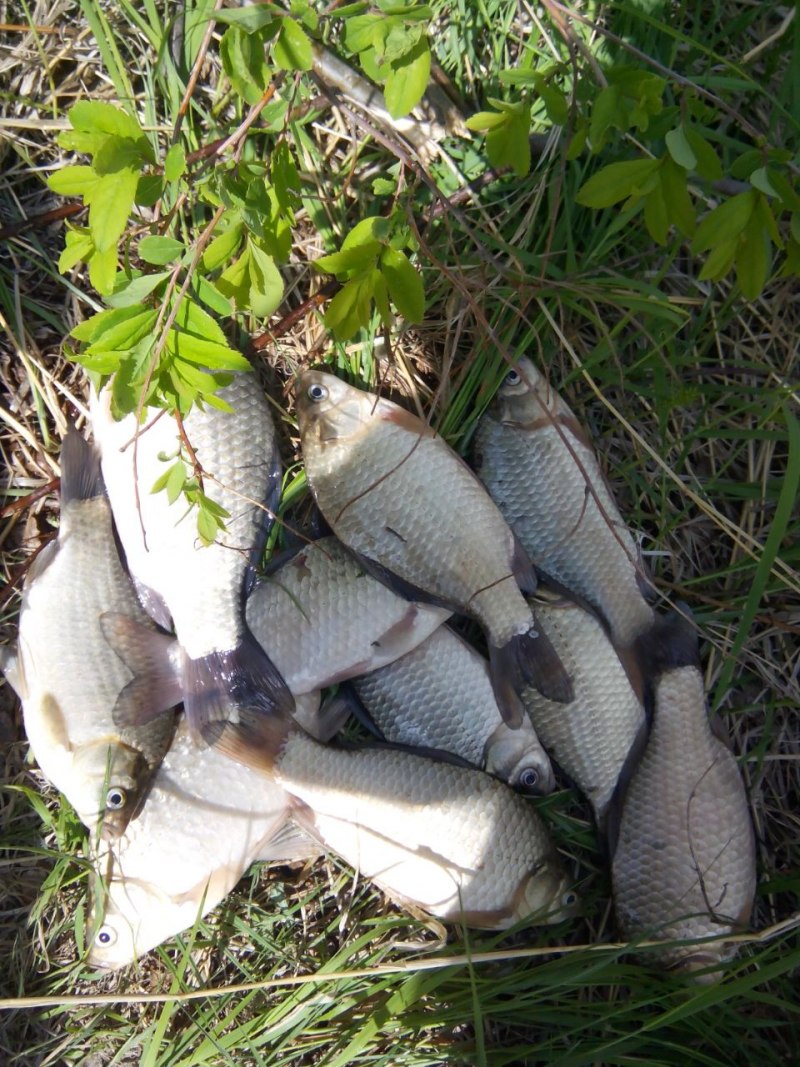 Рыбалка в Хабаровском крае