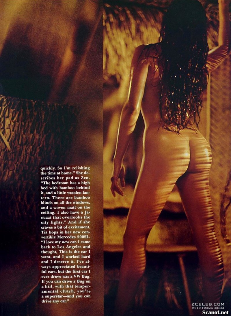 Тиа Каррере Playboy» 2003 года