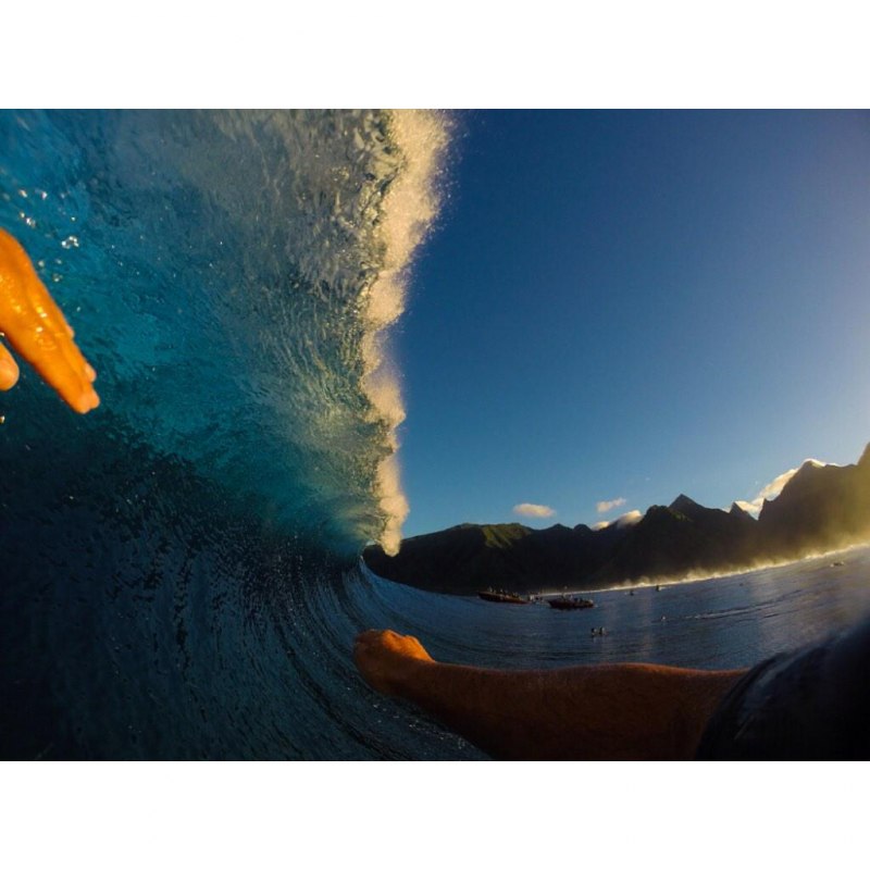 Аманда Уолш Блудливая Калифорния