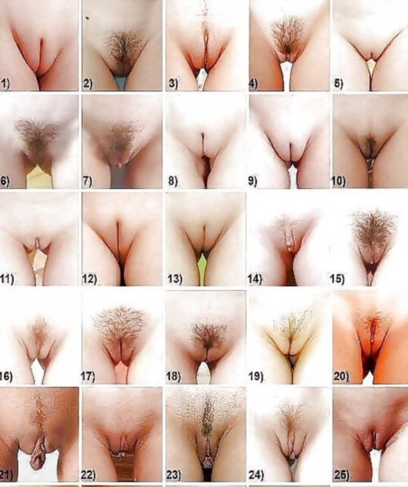 Слепки вагин Джейми Маккартни