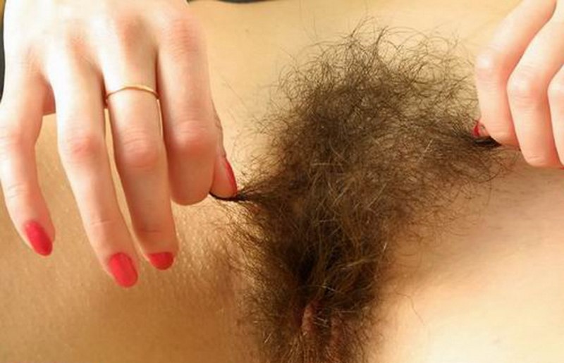 Длинные лобковые волосы