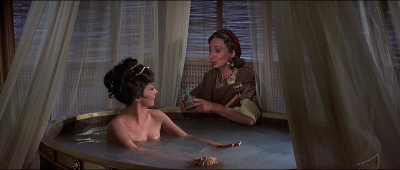 Джина Лоллобриджида ню