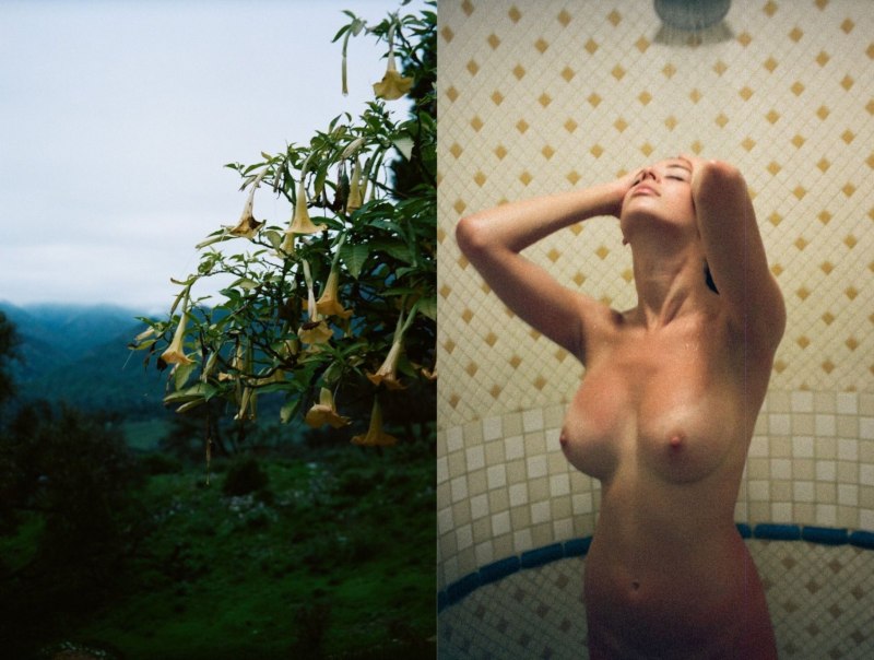 Sarah Rose MCDANIEL обконченная