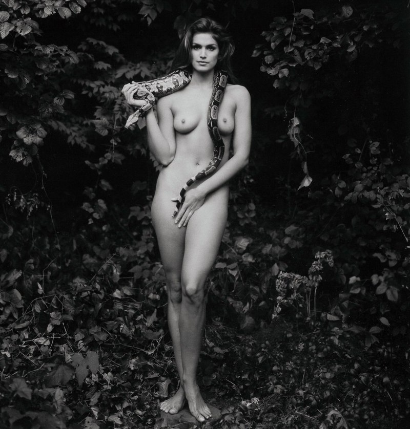 Синди Кроуфорд в молодости ню