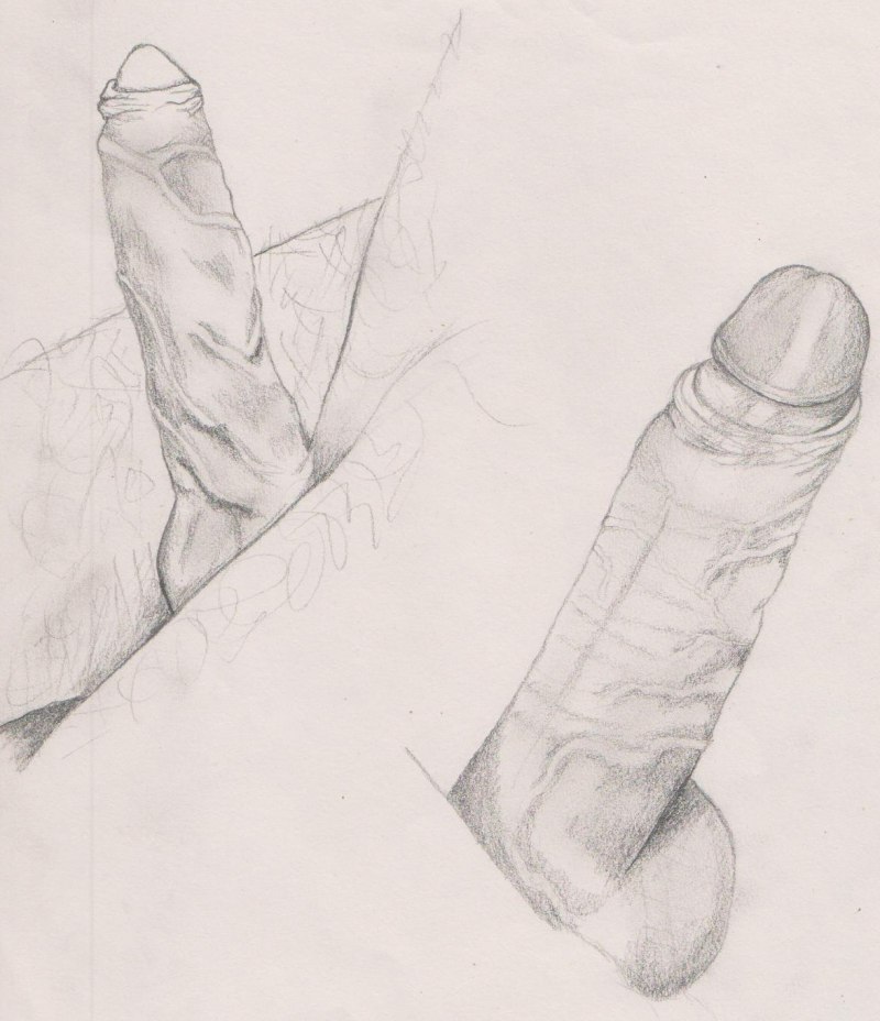 Мужской пенис рисунок карандашом