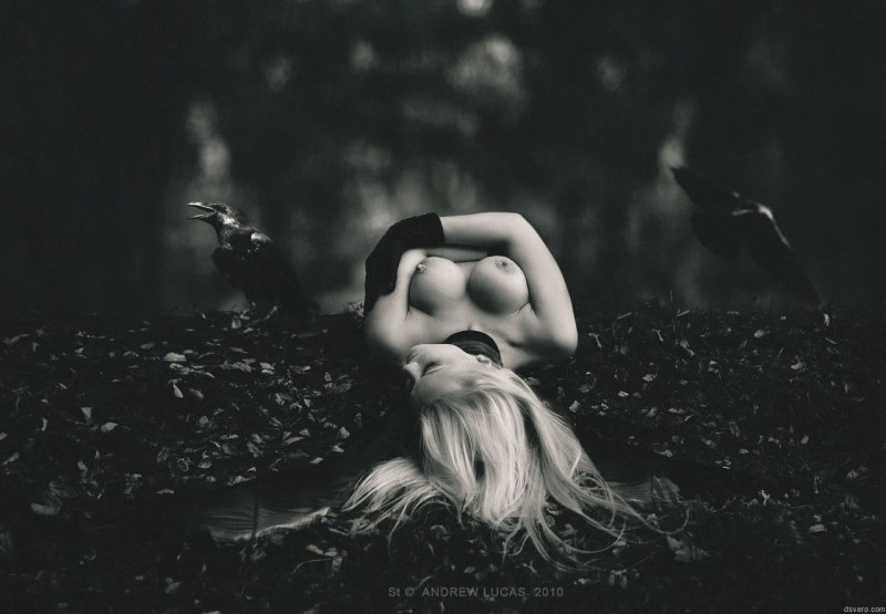 Jacqui Holland Monsters in the Woods 2012 ххх