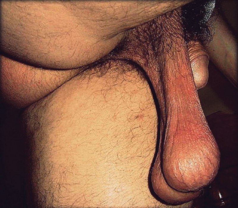 Эротический чайный пакетик