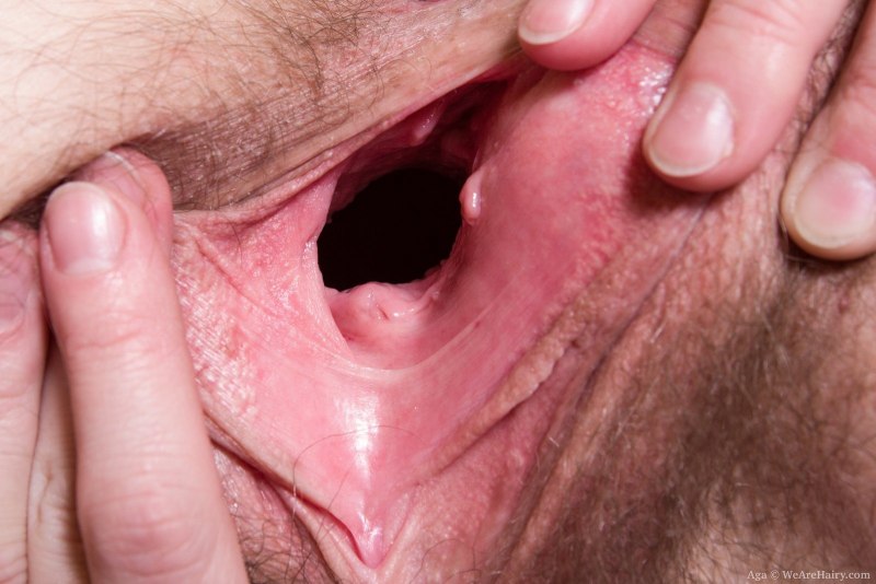 Здоровая вагина внутри